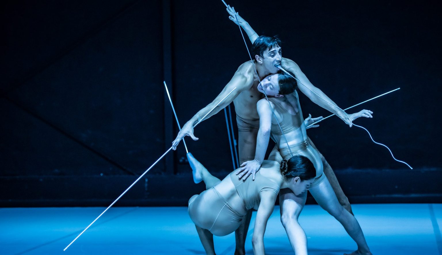 The performance “Techno Fauna” - part of Move Your Mind Festival 2022 at the dance theater Bora Bora