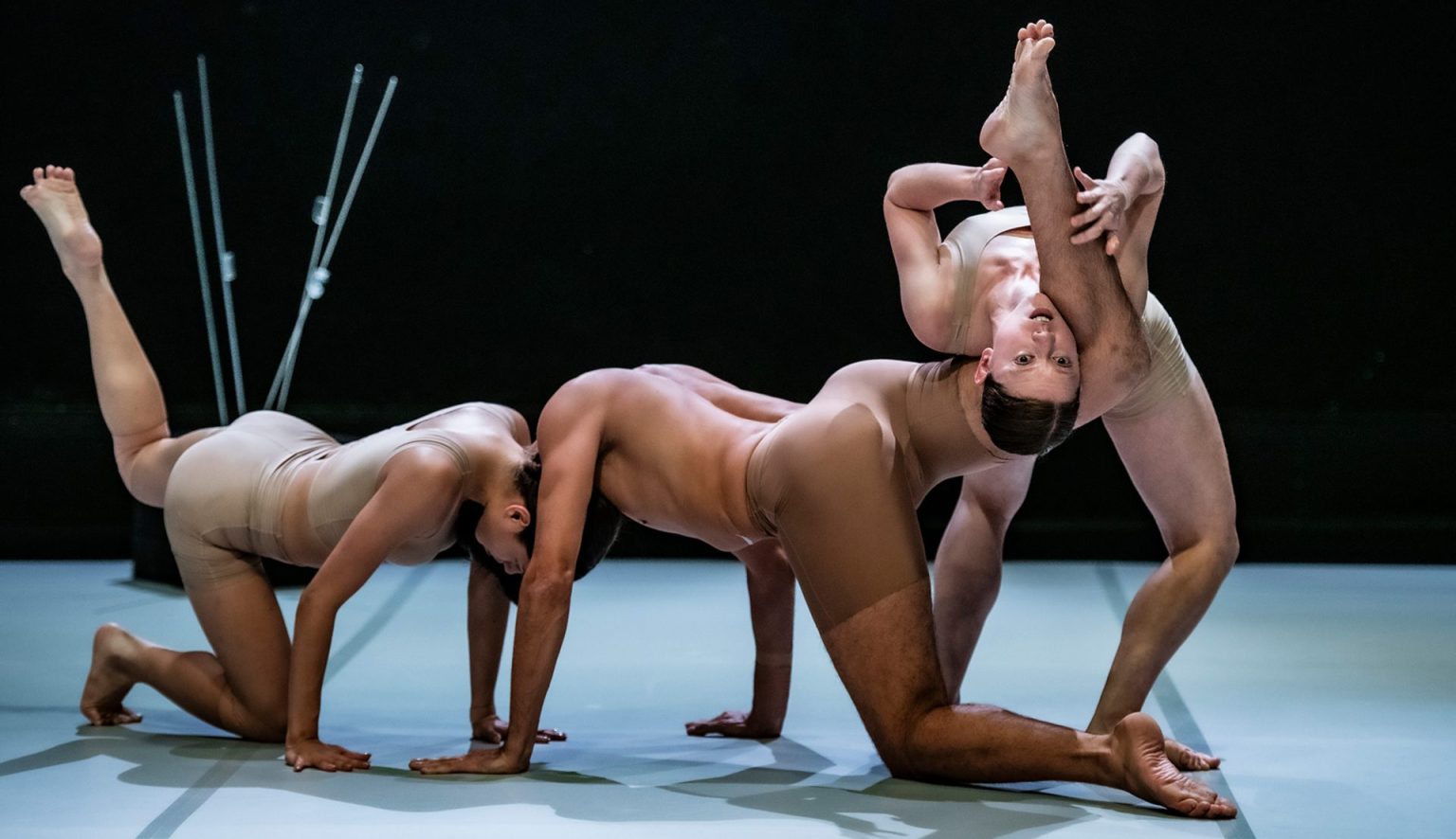 The performance “Techno Fauna” - part of Move Your Mind Festival 2022 at the dance theater Bora Bora
